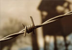 photo of barbed wire and prison tower